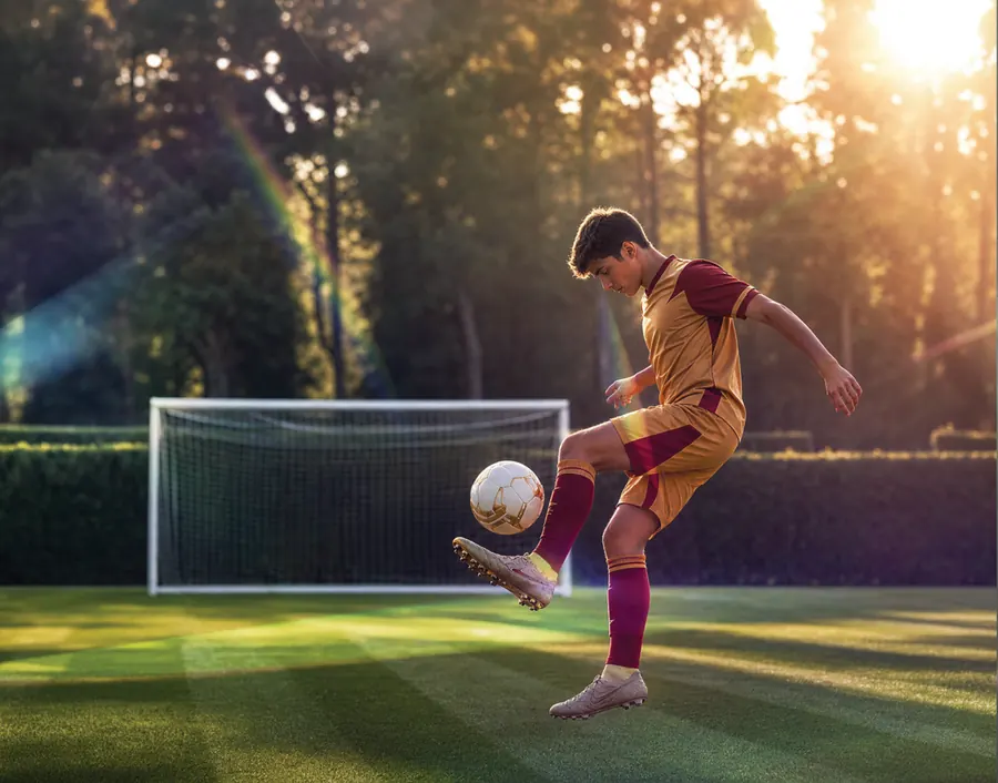 Mini soccer court
